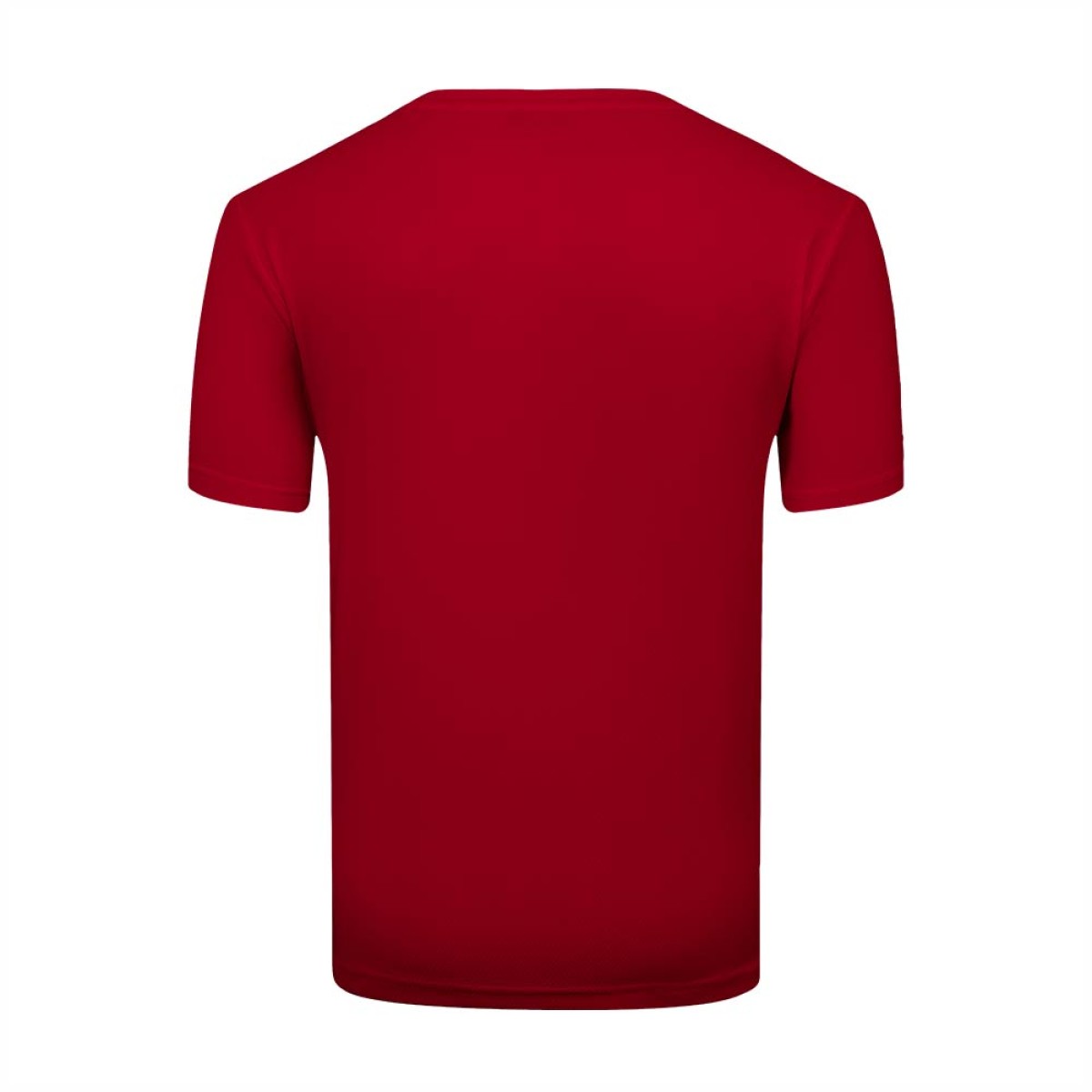 Unisex Half Sleeve T-Shirt (KURT45407) | Summer Wear Tshirt 6